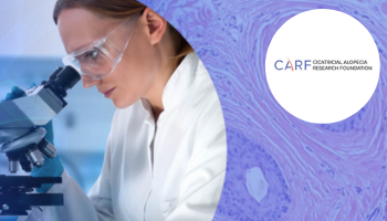 This image for Image Layouts addon